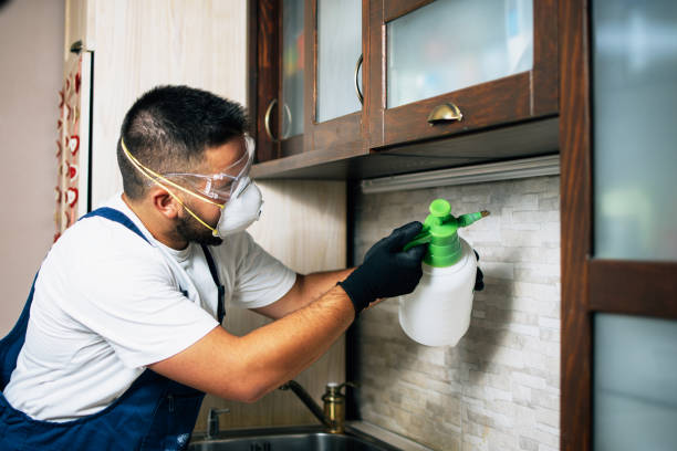 Best Rat Extermination Near Me  in Jesup, GA