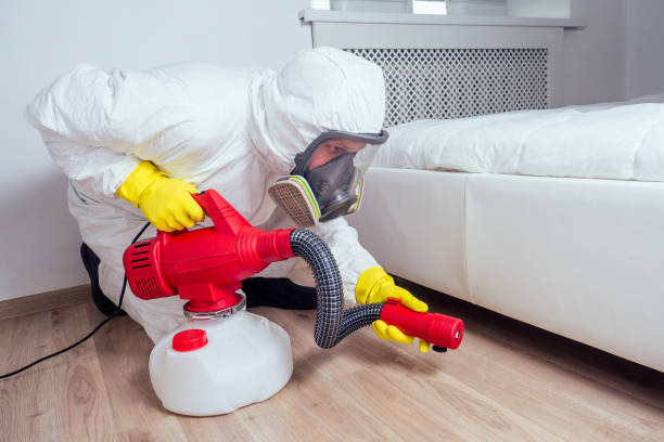 Best Flea Control Services  in Jesup, GA