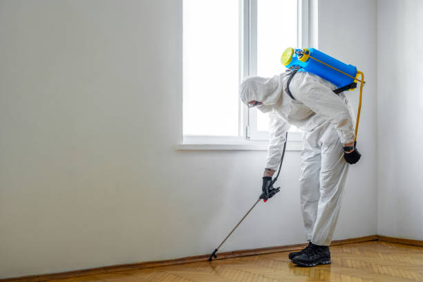 Best Pest Removal Services  in Jesup, GA