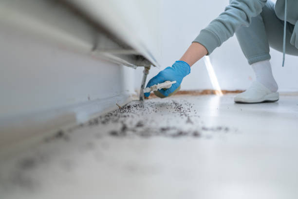 Best Wasp Removal Services  in Jesup, GA